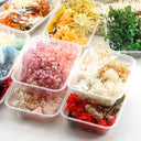 Artificial Plants & Real Dried Flowers for Home Decor