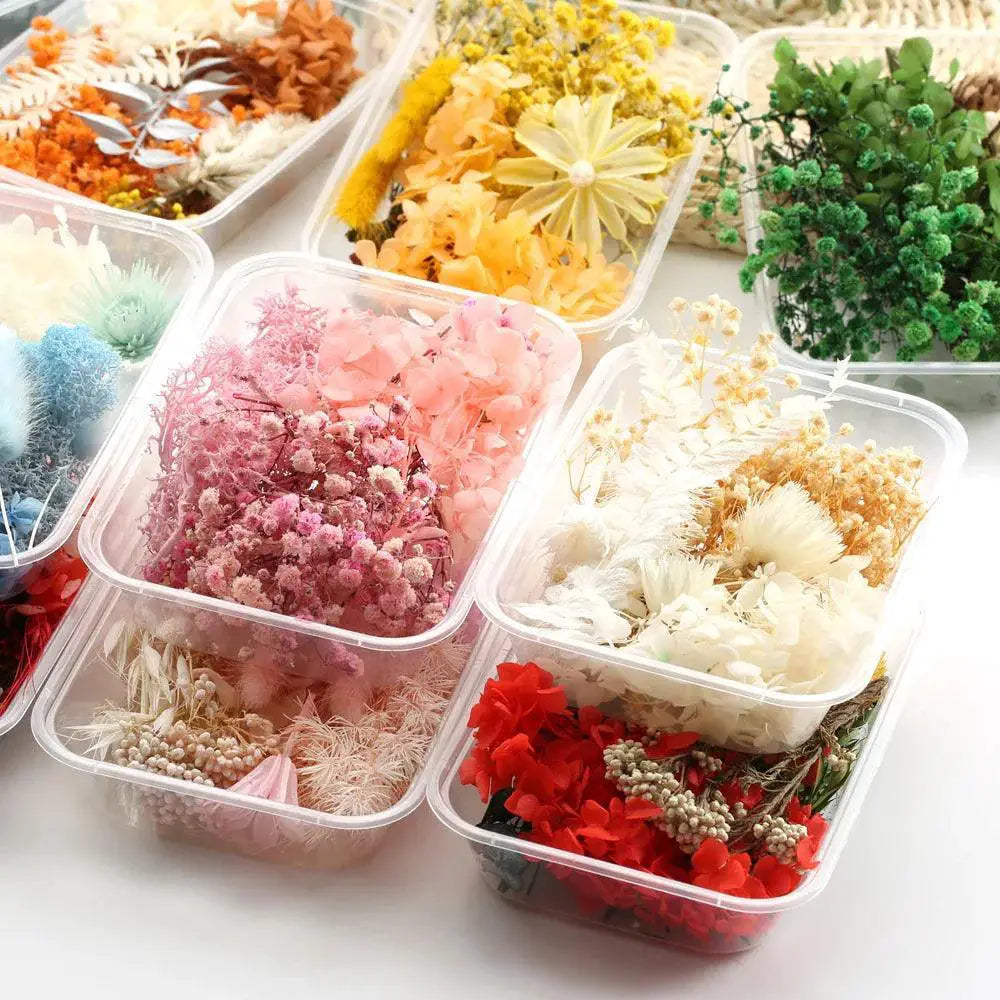 Artificial Plants And Real Dried Flowers For Home Decor
