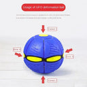 Flying Disc Dog Toy for Active Training