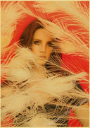 Lana Del Rey Retro Kraft Paper Music Album Poster Vintage Decor