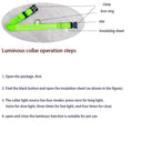 LED Night Safety Dog Leash & Collar Set for Enhanced Visibility