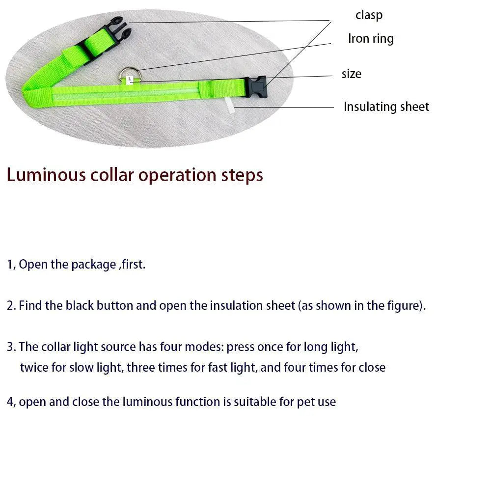 LED Night Safety Dog Leash And Collar Set For Visibility