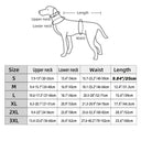 Dog Winter Jacket: Cozy Waterproof Reflective Coat for Dogs