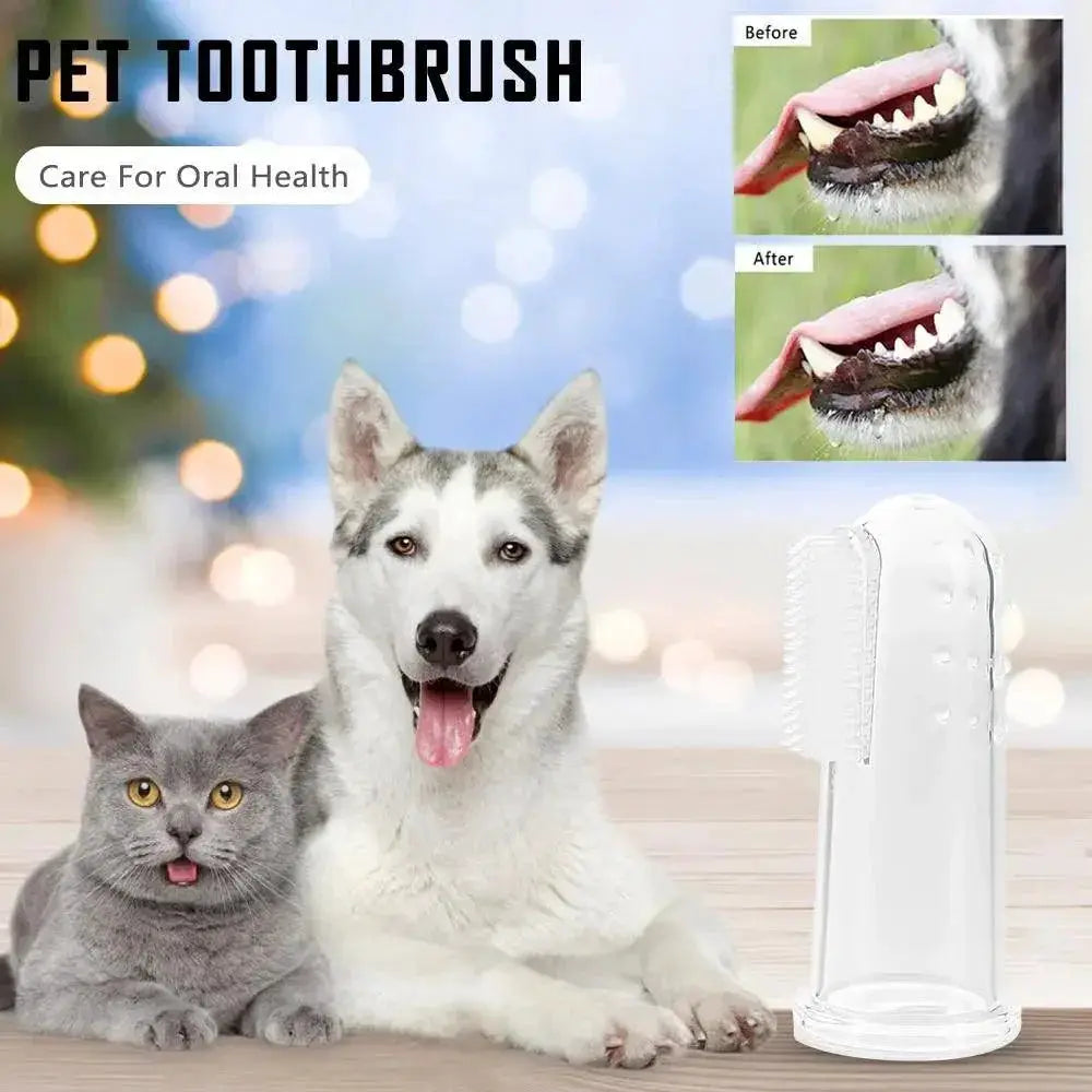Pet Dental Care Kit Soft Toothbrushes And Finger Brush