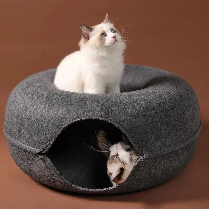 Interactive Donut Cat Bed And Tunnel Combo For Cats