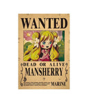 One Piece Luffy Poster for Anime Fans