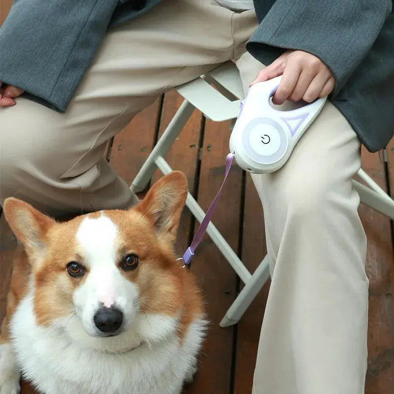 Streamer LED Dog Leash For Ultimate Safety And Visibility