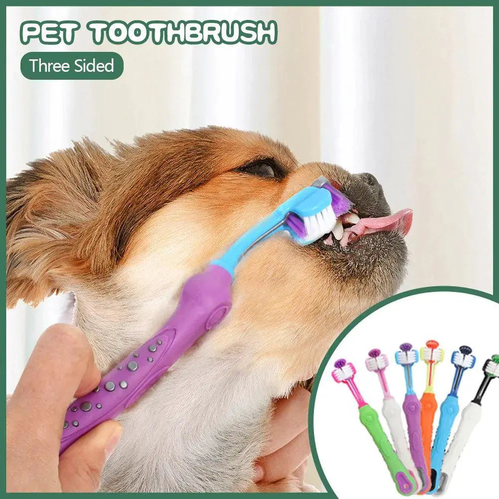 Three Head Pet Toothbrush For Bad Breath Teeth Care Tool