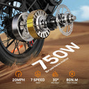 URLIFE 750W E20 Electric Fat Tire Bike