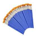 Beginner Friendly Nylon Hair Brush Set