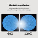 Mini Pocket Microscope Kit 60X-120X LED Light for Kids