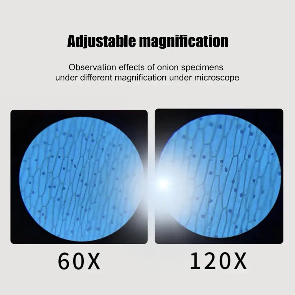 Mini Pocket Microscope Kit 60X 120X LED Light For Kids