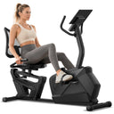 ROBORE CBR80 Recumbent Exercise Bike