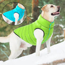 Winter Dog Jacket Reversible Thick Coat for All Dogs