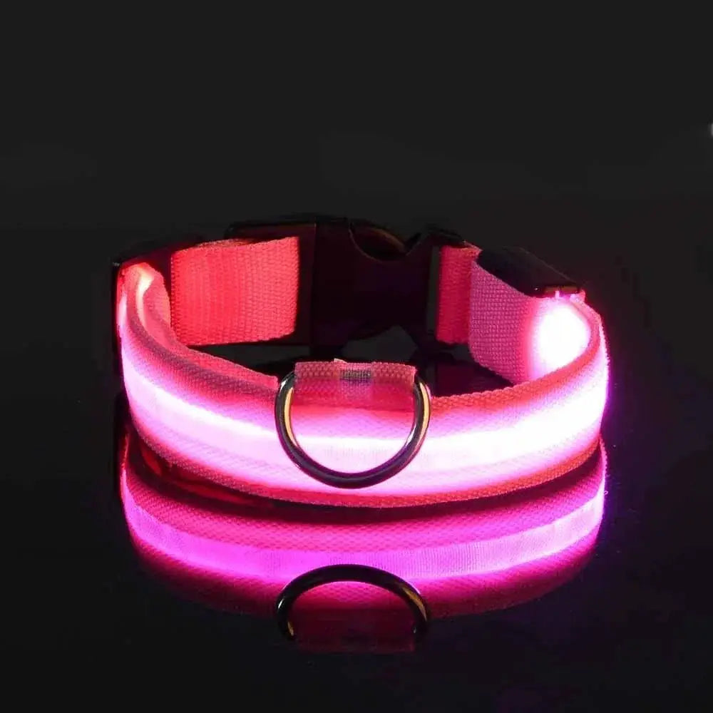 LED Night Safety Dog Leash And Collar Set For Visibility