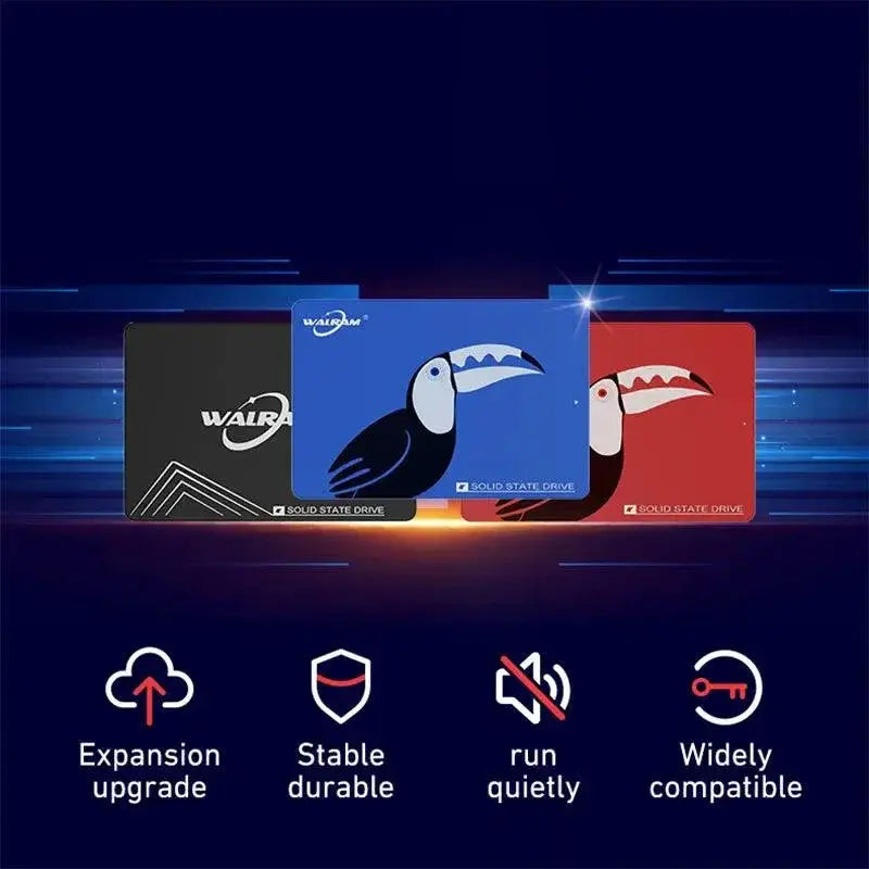 WALRAM SSD High Speed Storage Solution Wide Compatibility