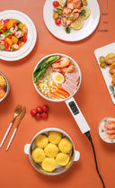 220V Multifunctional Electric Cooker Ceramic Pot for Students