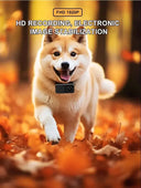 No WiFi Pet Collar Cam for Cats and Dogs