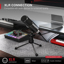 XLR Dynamic Microphone K669D for Podcasting and Streaming