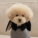 Cozy Warmth Pet Hat for Winter Dogs