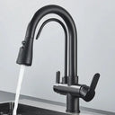 Filtered Water Kitchen Faucet For Homes