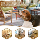 Dog Bone Chew Toys Durable Natural Non-Toxic Dental Care