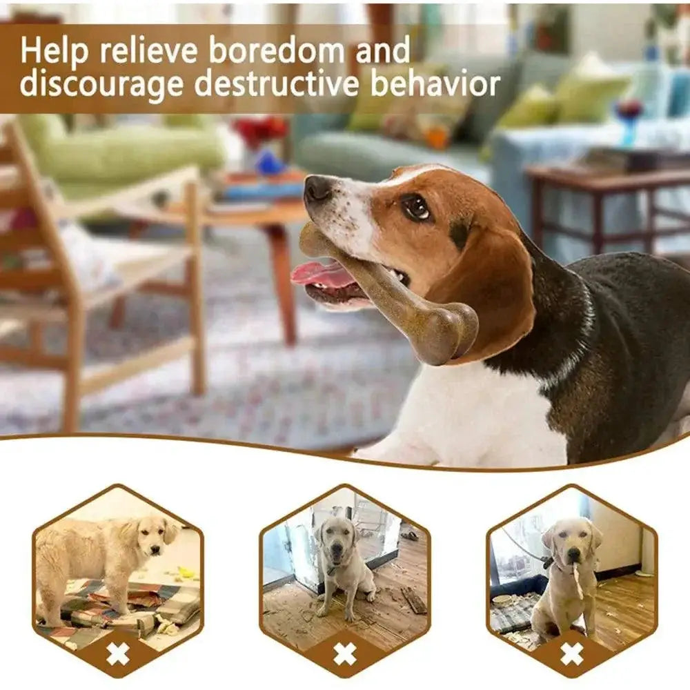 Durable Natural Non Toxic Dog Bone Chew Toys For Dental Care