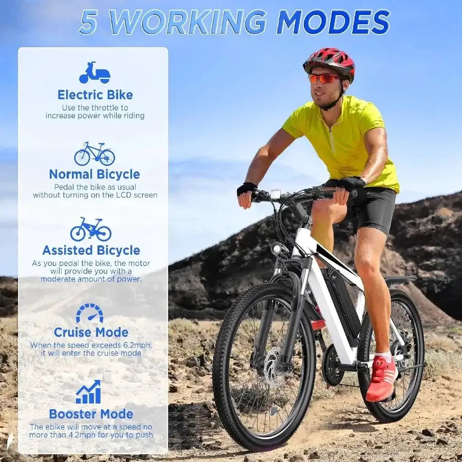 High Power Electric Mountain Bike — product image 5
