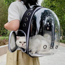Pet Capsule Backpack With Clear Window And Ventilation