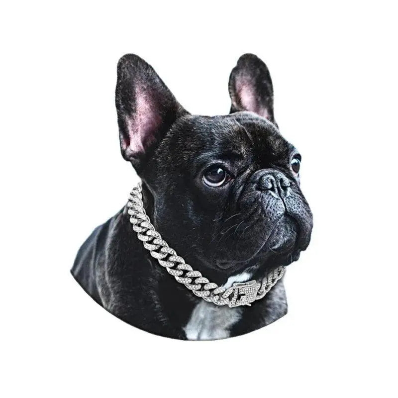 Diamond Dog Chain Collar Elegant Metal Jewelry for Pets