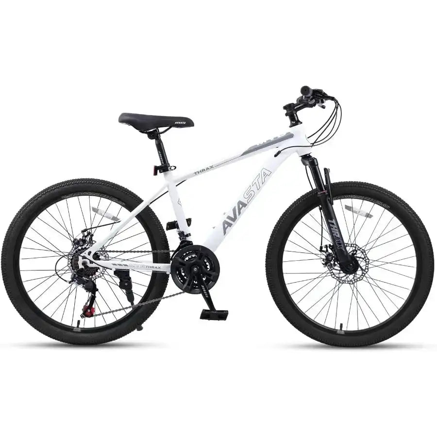 Inch Carbon Steel Mountain Bike — product image 2