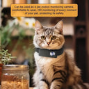 No WiFi Pet Collar Cam for Cats and Dogs