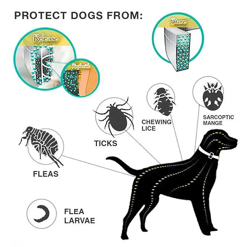 Dog Flea And Tick Collar 8 Month Protection For Pets