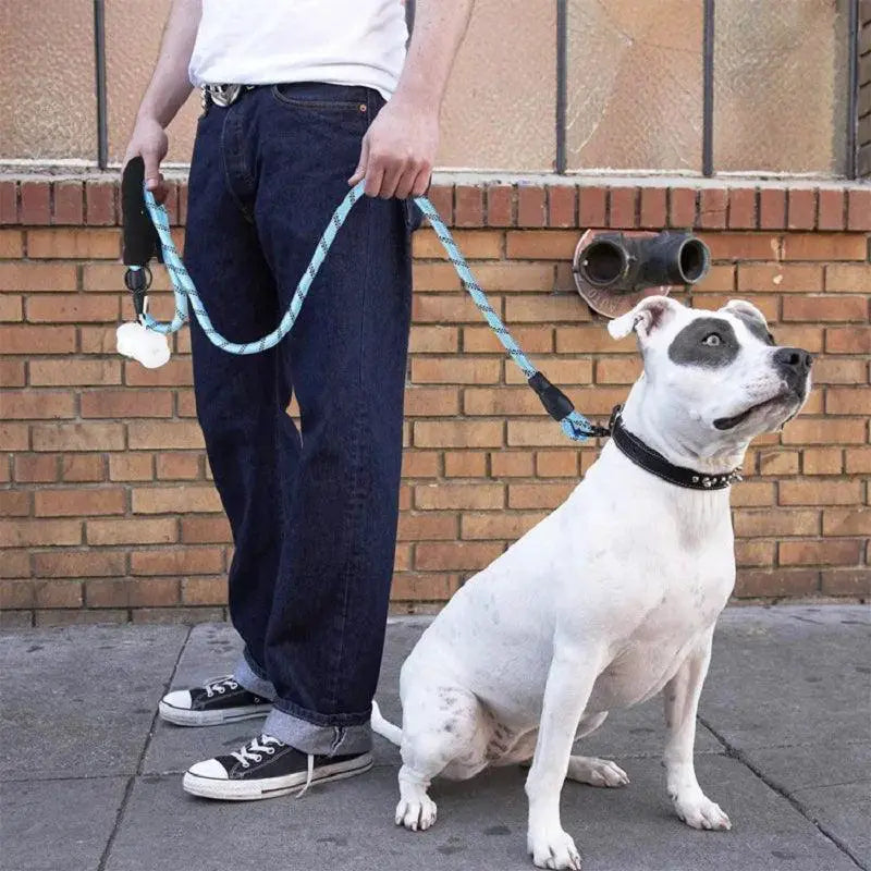Strong Leash For Dogs With Soft Handle And Reinforced Design