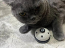 Pet Bell Training Interactive Toy for Small Dogs and Cats