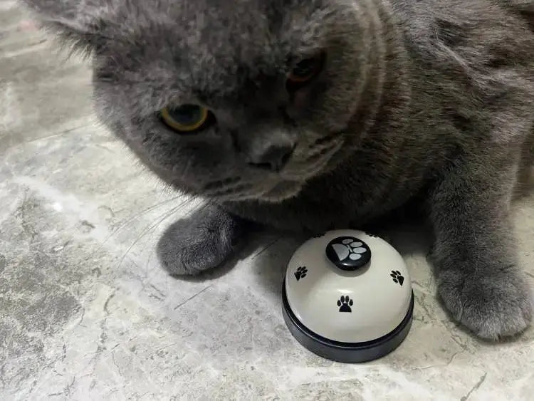 Pet Bell Interactive Training Toy for Small Dogs and Cats