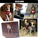 Breathable Mesh Dog Leash & Harness Set for Small Breeds