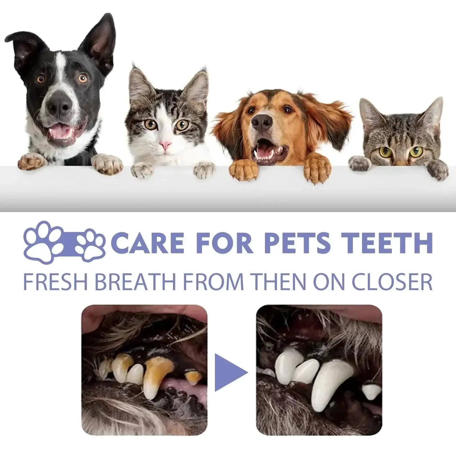 Pet Oral Care Spray Freshen Breath and Whiten Teeth