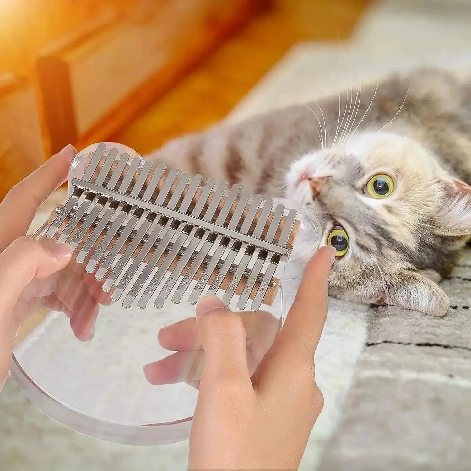 17 Key Acrylic Kalimba Piano Gift for Kids Beginner Friendly