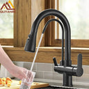 Filtered Water Kitchen Faucet For Homes