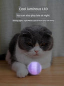 Autonomous Jumping Ball Cat Toy Indoors