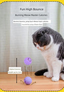 Autonomous Jumping Ball Cat Toy Indoors