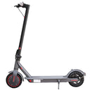 Ladped - Fast Folding Commuter