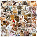 Smart Cat Mood Stickers for DIY Crafts