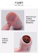 Hair Dryer for Travelers Fast Drying