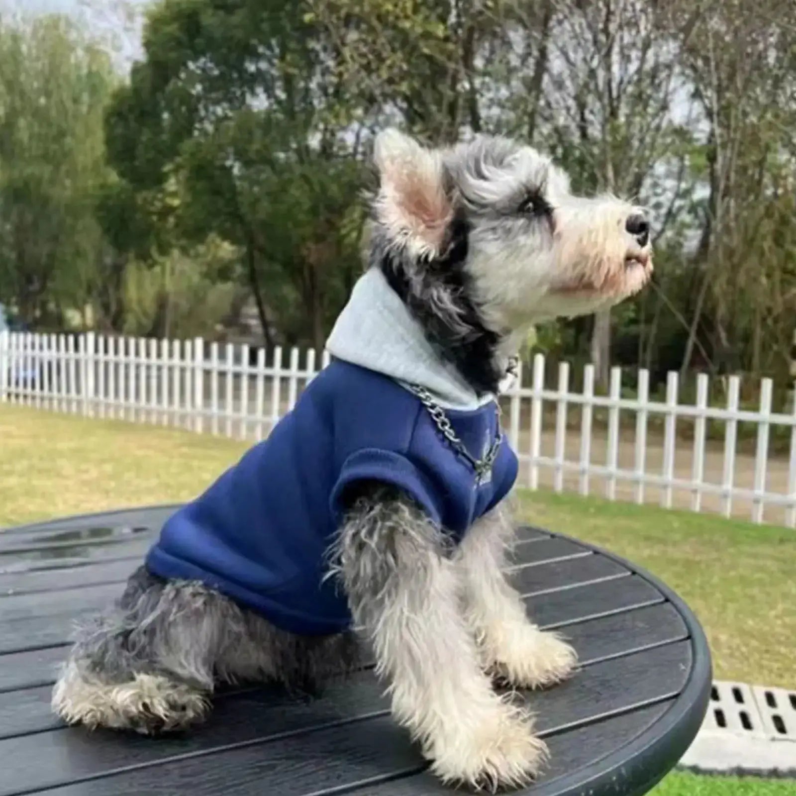 Fashion Dog Hoodie Winter Warm Coat for Pets Sweatshirt
