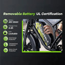 Adult Electric Fat Tire Bike