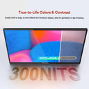 18.5 In Touchscreen Portable Monitor