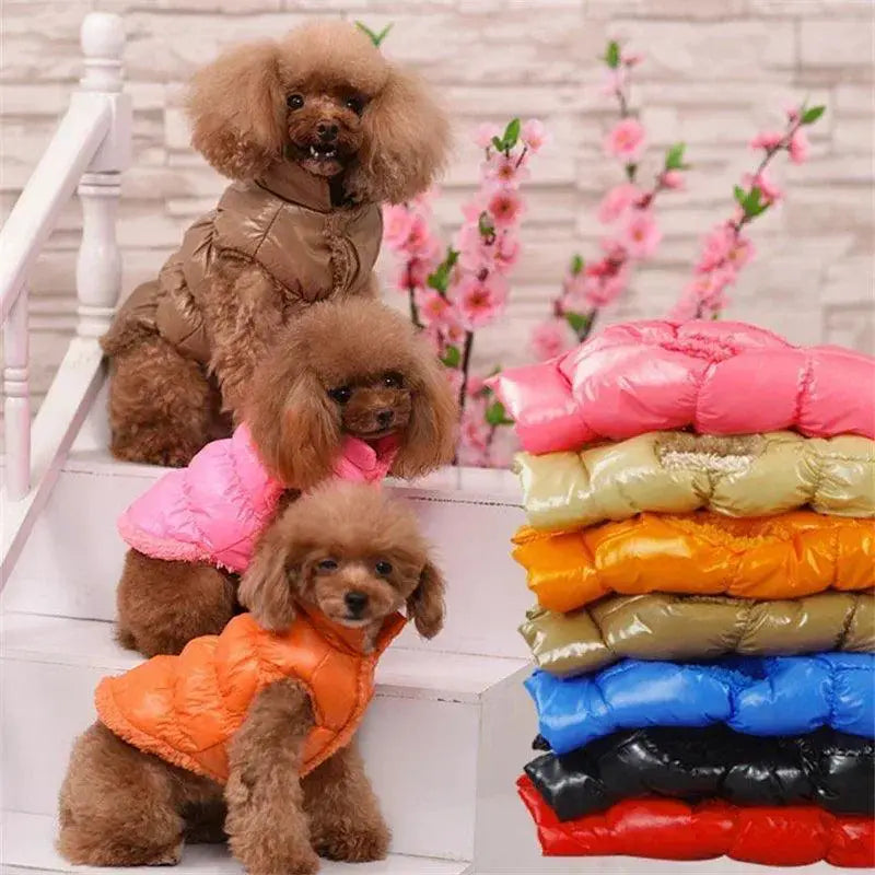Winter Pet Down Jacket Cozy Coat For Small Dogs And Cats