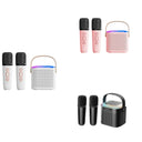 Portable Bluetooth 5.3 Speaker System With 2 Wireless Microphones